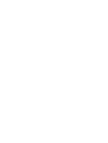 Volt Executor Logo